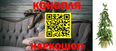 дмт Пыть-Ях