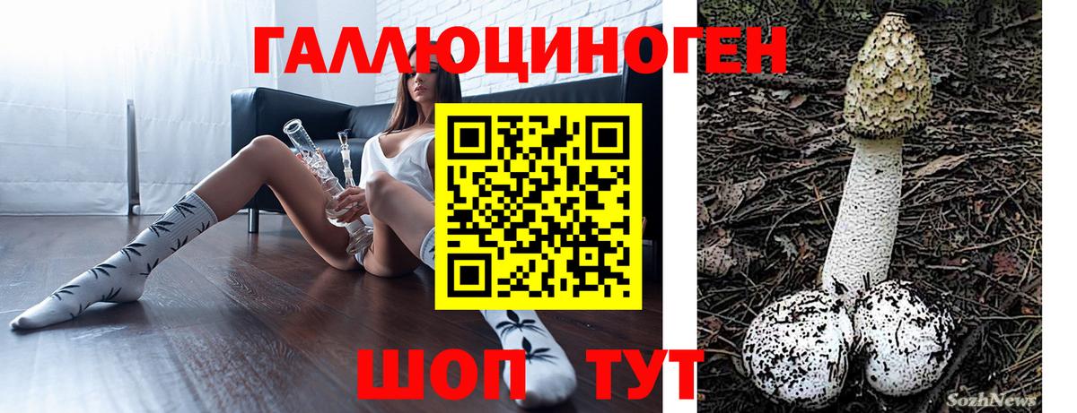 Сунжа  Галлюциногенные грибы мухоморы  Вход с VPN 